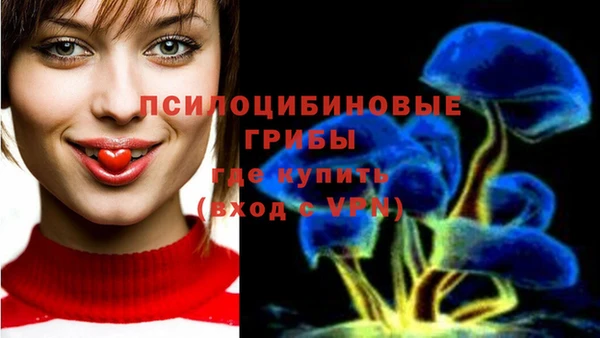 синтетический гашиш Карпинск