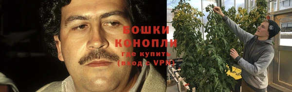 a pvp Касимов
