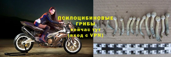 a pvp Касимов