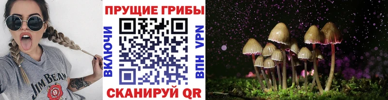 Галлюциногенные грибы мухоморы  наркошоп  Княгинино 